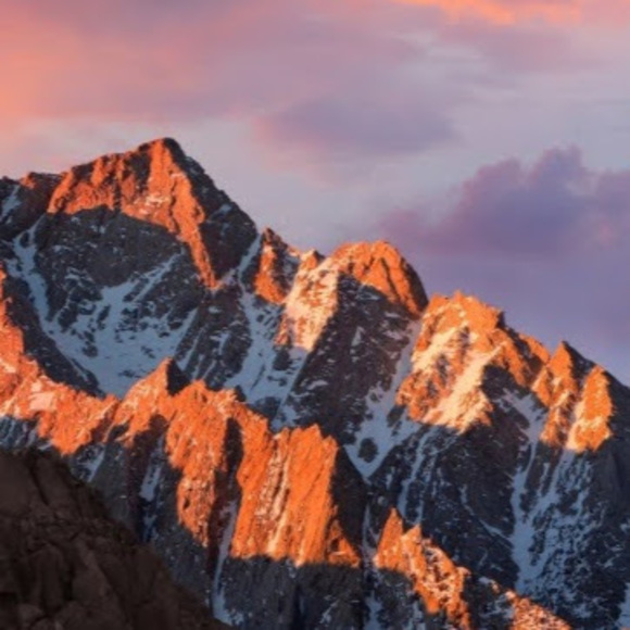 Meet your Posher, Taylor - Picture 1 of 1